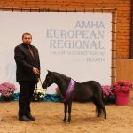 2016 AMHA European Championship Show