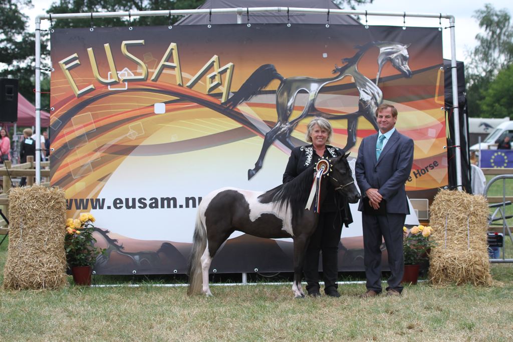 EUSAM Dutch Open in Aalten