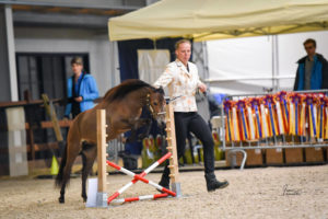 Fleurie at the 2019 Equuspirit show in Belgium
